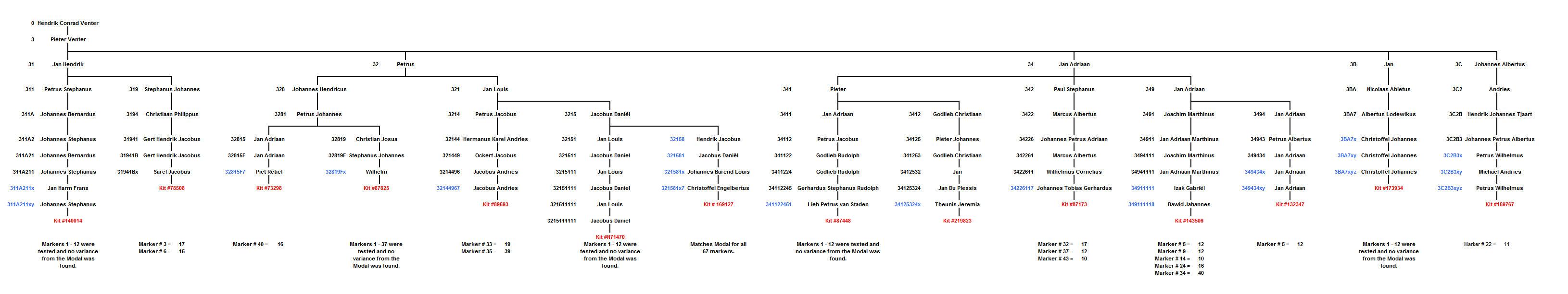Family Tree